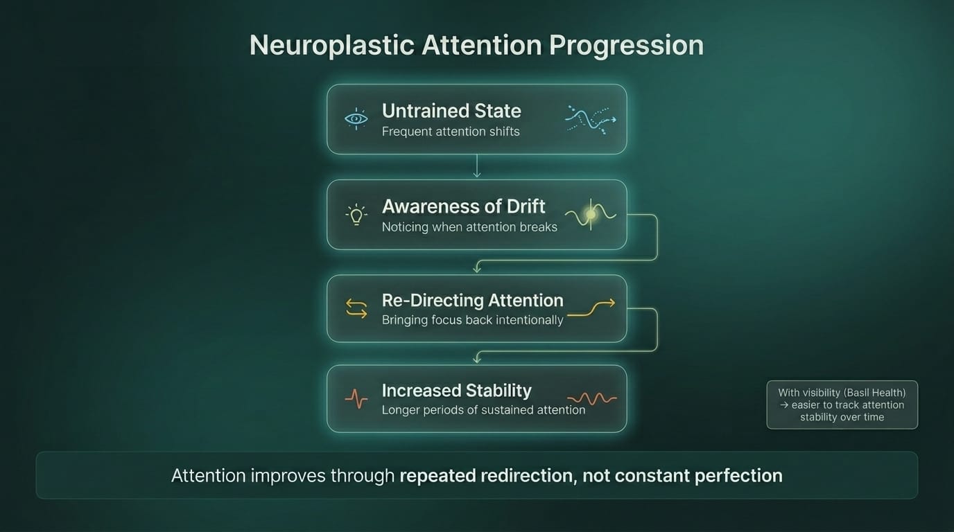 Infographic: Neuroplastic Attention Progression — from an untrained state with frequent attention shifts, to awareness of drift, to re-directing attention intentionally, to increased stability with longer periods of sustained focus. Attention improves through repeated redirection, not constant perfection.