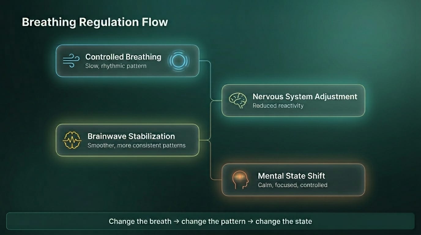 Infographic: breathing regulation flow — controlled breathing leads to nervous system adjustment, brainwave stabilization, and a calmer, more focused mental state.